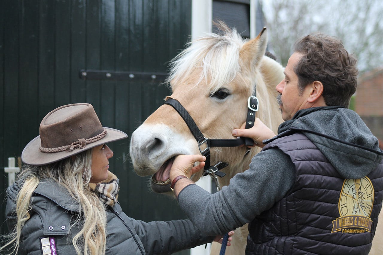 Yes! We gaan weer paarden behandelen!